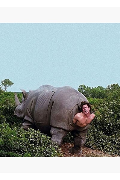 Universal Poster decorativ din lemn Ace Venture Rhino Painting