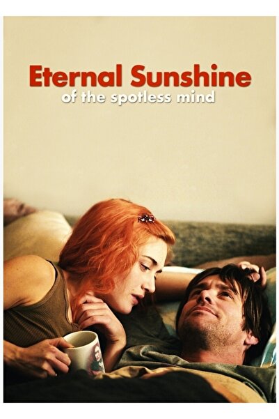 Universal Eternal Sunshine Of The Spotless Mind Movie Tablo Ahşap Poster Deko...