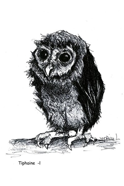 Universal Poster decorativ din lemn cu bufniță