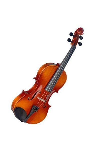 STAGG Tekin Müzik Vn-4/4 L Keman