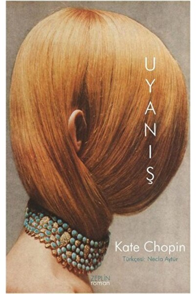 Zeplin Kitap Uyanış