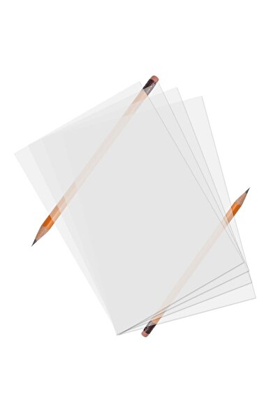 Alex Schoeller 10 Pieces of 50*70 Cm Size 55 grams/m2 Sketch Paper