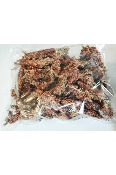ORGANİK BAHÇEM Doğal Sumak 1000g