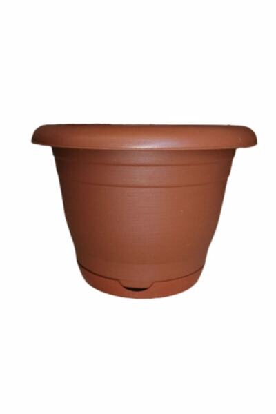 Yıldızlar 6 No Saksı 35 Litre