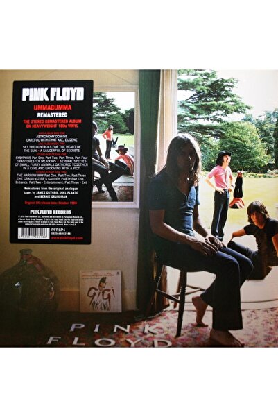 RNBW45 Pınk Floyd - Ummagumma