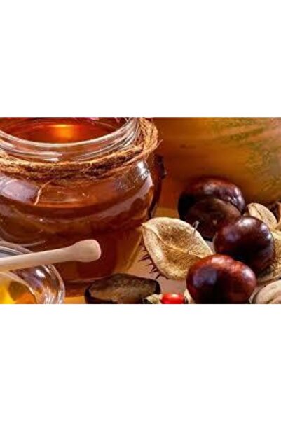 Kafkas Organik Macahel Kestane Balı - 2 Kg