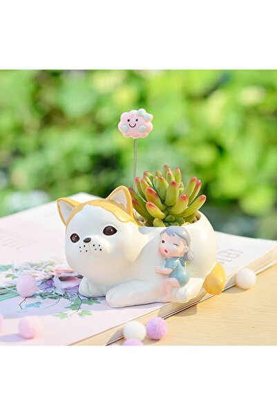 Miniminti Kedili Kız Kaktüs Saksısı