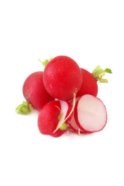 Tohumcumm 500 Adet Sertifikalı Maydanoz - Tere - Roka - Dere - Ispanak -Turp ...