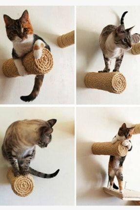 Bypet Duvara Monte Edilen Kedi Tirmalama 3 Lu Fiyati Yorumlari Trendyol