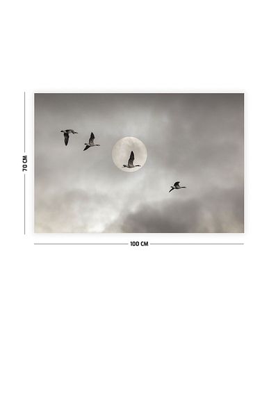 Vagonik Μοκέτα τοίχου Swallow Sky 70 Χ 100 εκ