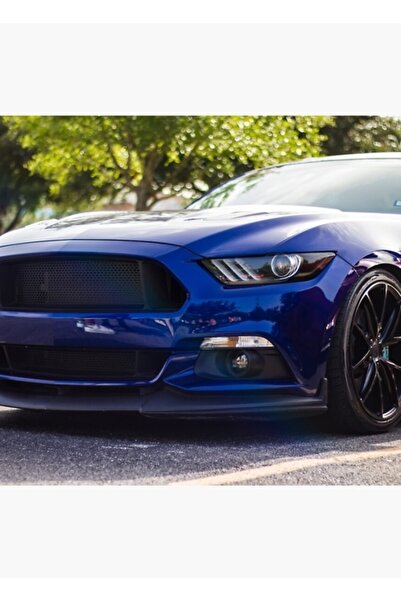 Universal Διακοσμητική ξύλινη αφίσα για το τραπέζι Ford Mustang S550