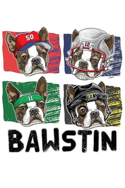Universal Bawstin Super Star Boston Sports Dog Painting Ξύλινη Διακοσμητική Α...
