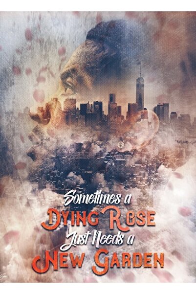 Universal Ντέρεκ Ρόουζ Σικάγο στο Νέα Υόρκη Έργο τέχνης Μπάσκετ Ξύλινη αφίσα ...