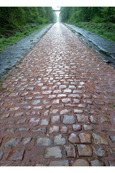 Universal Trouée D'aremberg Paris Roubaix Tablo Ahşap Poster Decorativ