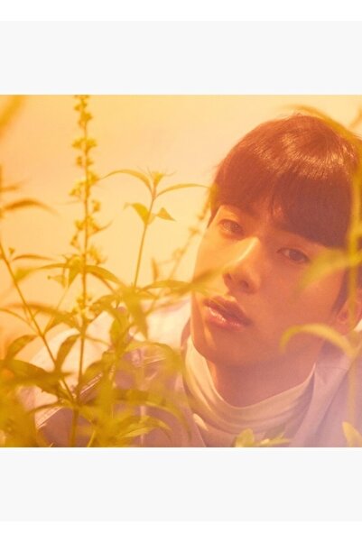 Universal Jin Estetik Tablo Ξύλινη Διακοσμητική Αφίσα Κωδ.4652