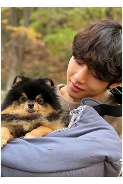 Universal Poster decorativ din lemn Taehyung Kod5248