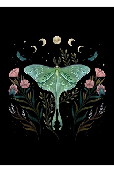 Universal Διακοσμητική ξύλινη αφίσα με εικόνα της Λούνα και του Φόρεστερ