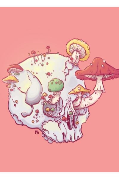 Universal Craniu Nr.1/ Ciupercă Un Tablou Poster Decorativ din Lemn