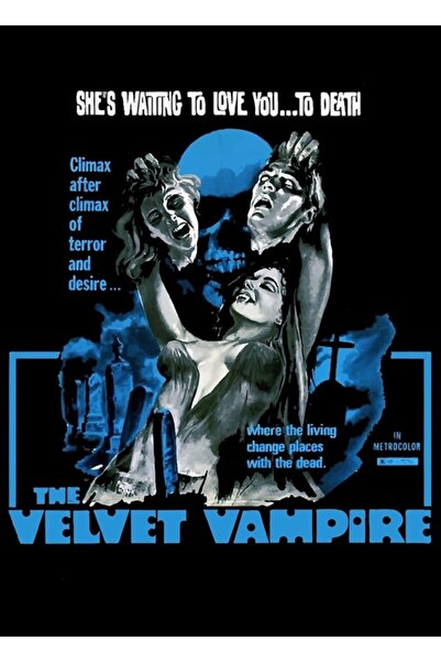 Universal Velvet Vampire Painting Wooden Poster Decorative