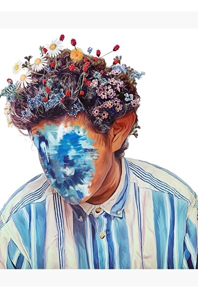 Universal The Fall Of Hobo Johnson Copertă album Pictură Poster din lemn Deco...