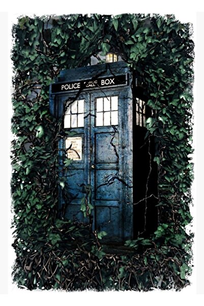 Universal Bahçede Polis Kutusu Tardis Tablo Ahşap Poster Dekoratif