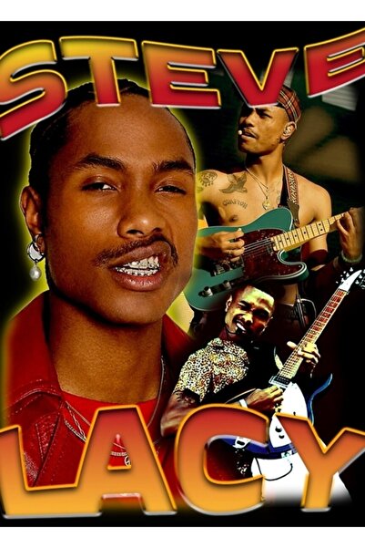 Universal Steve Dantelli Stray T-Shirt Merch Tablo Poster din lemn decorativ