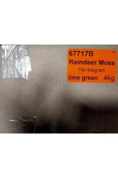 trendbahce Reindeer Moss Lime Green Şoklanmış Norveç Ithal Yosunu 4 Kg