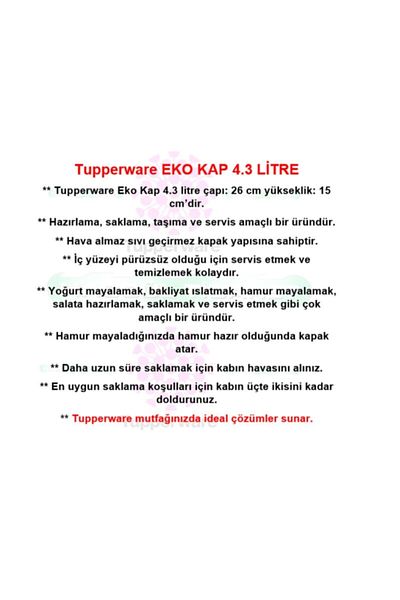 Tupperware Eco Container 4.3 Liter Storage Serving Container Hsgl Blue