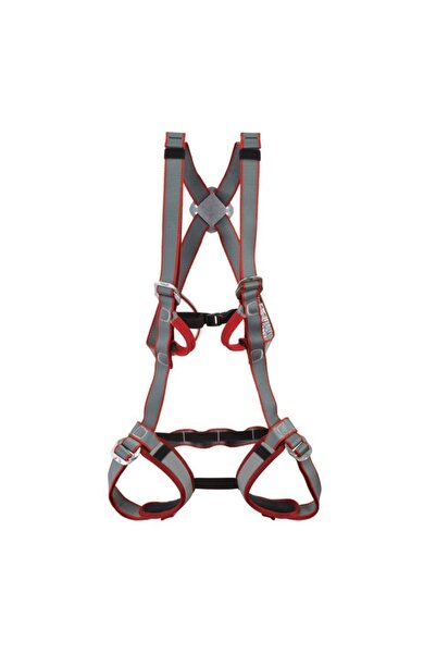 DMM Tom Kitten Emniyet Kemeri Kırmızı/Gri