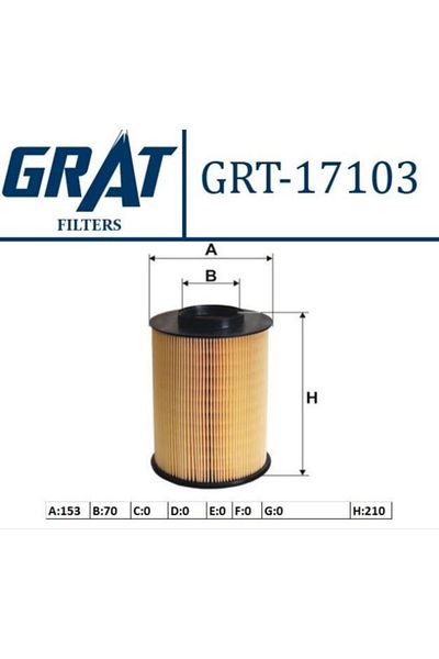 GRAT Focus-C.Max-Connect-Kuga Air Filter (Cylinder Type)