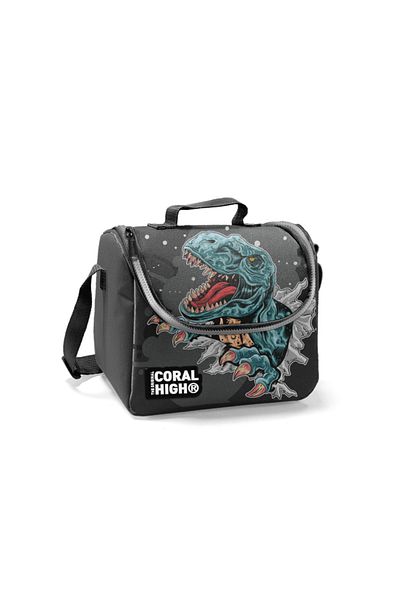 Coral High Kids Gray Dinosaur Thermo Lunchbox