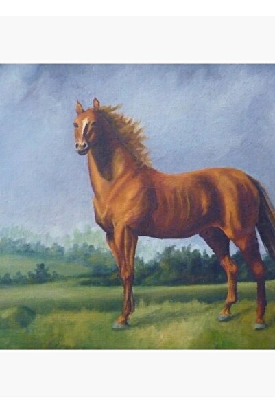 Universal Επιτραπέζια ξύλινη διακοσμητική αφίσα Man O'war Racing Horse