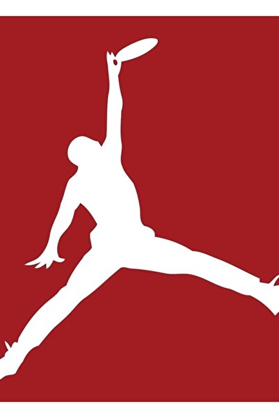 Universal Poster decorativ din lemn cu frisbee