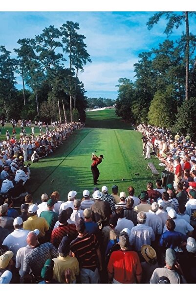 Universal Τάιγκερ Γουντς, Masters 2001, 18. Διακοσμητική ξύλινη αφίσα με τρύπες