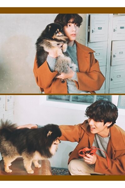 Universal Τα έργα τέχνης του Τεχιούνγκ και του Γιεοντάν είναι αισθητικά ξύλιν...