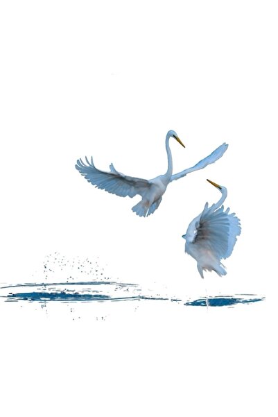 Universal Το Χορός των Κύκνων Επιτραπέζια Ξύλινη Διακοσμητική Αφίσα Κωδ.3608