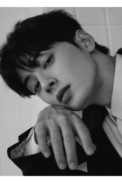 Universal Cha Eun Woo Tablo Ahşap Poster Dekoratif Kod4513