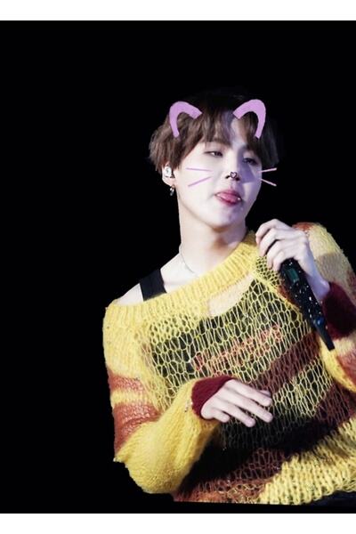 Universal Little Meow Meow Painting Wooden Poster Decorative Code3226