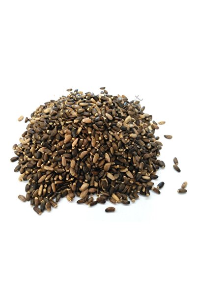 pavrika Deve Dikeni Tohumu 500 gr