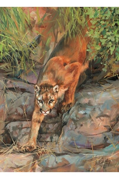 Universal Leul de munte Puma Tablo Poster din lemn decorativ