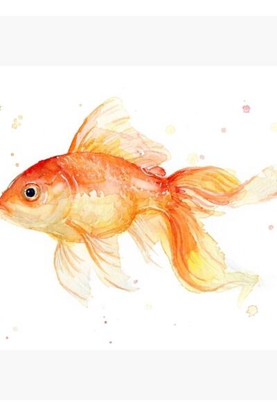 Universal Pictură cu pește auriu, pictură în acuarelă, poster decorativ din lemn