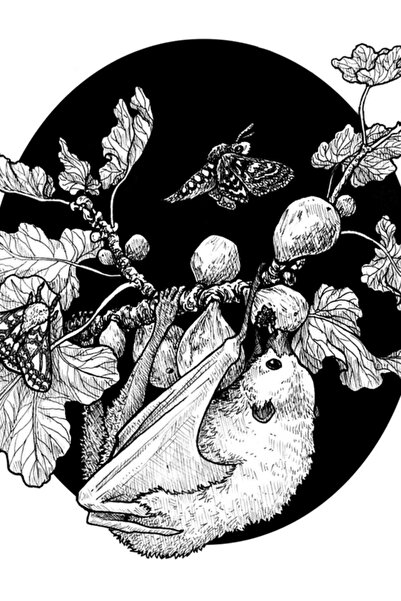 Universal Ξύλινη διακοσμητική αφίσα με σχέδιο συκιάς και παρασίτων φρούτων