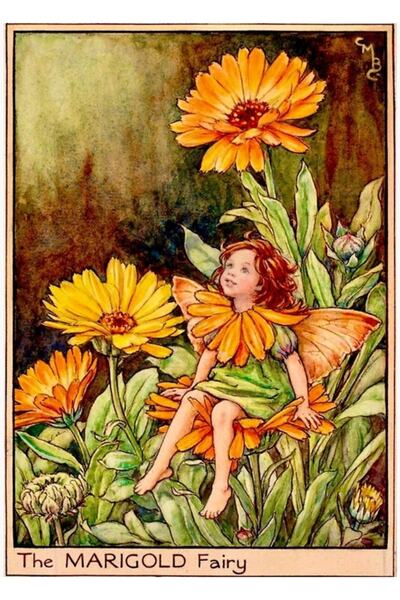 Universal „Zâna de catifea” de Cicely Mary Barker 1923 Poster decorativ din l...