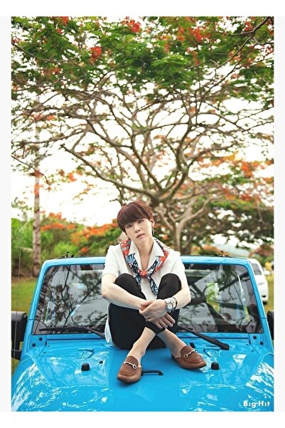 Universal Poster decorativ din lemn cu pictură Suga Saipan BTS Cod3731