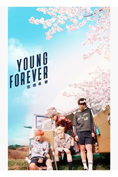 Universal Poster decorativ din lemn Bts Forever Young Painting Cod2199