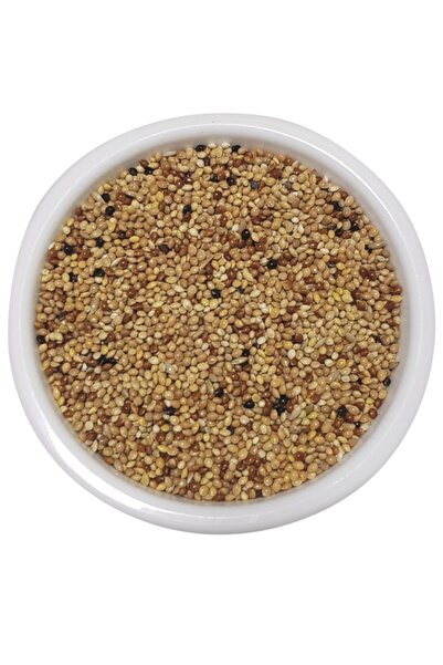 Genel Markalar Vivid Karışık Muhabbet Yemi 500 Gr