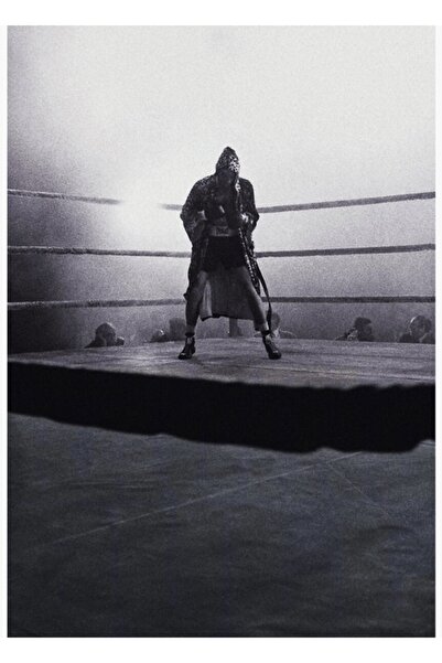 Universal Διακοσμητική Ξύλινη Αφίσα Ζωγραφικής με θέμα τον Επιδορπισμένο Ταύρο