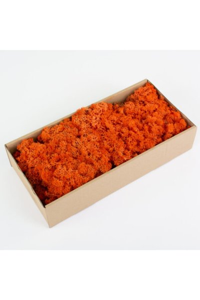 trendbahce Reindeer Moss Turuncu Şoklanmış Ithal Norveç Yosunu 500gr