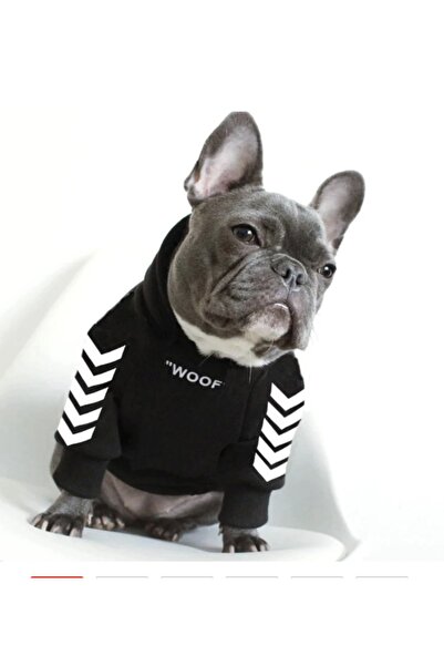 MarkaModa Köpek Kedi Kıyafetleri Kapşonlu Sweet