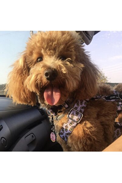 Jimi pet Tasma Seti Medium Beden Starbucks Model